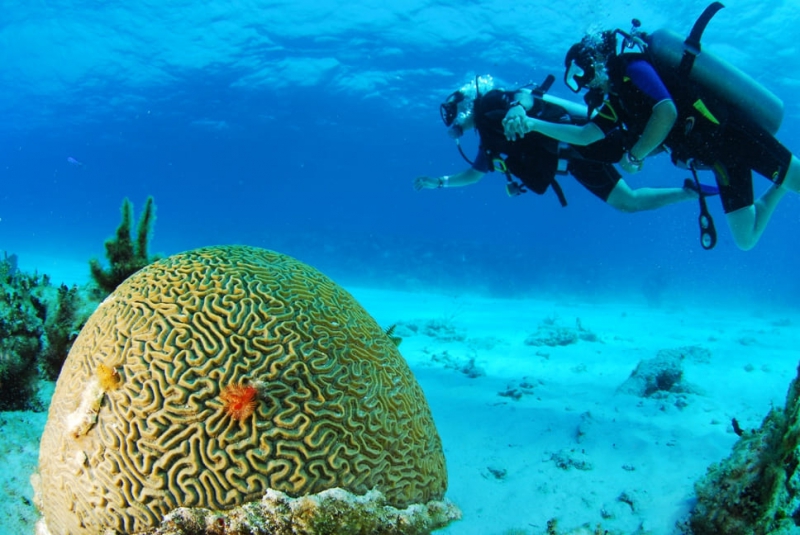 Padi Open Water Course (3 days) Padi Open Water Course (3 days)