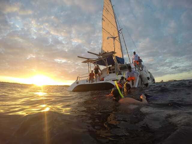 Charter 4 horas Cat 41/43ft Charter 4 horas Cat 41/43ft