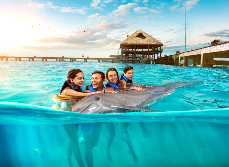 Puerto Aventuras Dolphin Encounter Puerto Aventuras Dolphin Encounter