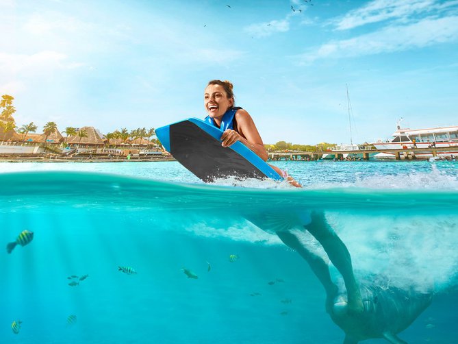 Akumal Dolphin Swim Adventure Akumal Dolphin Swim Adventure