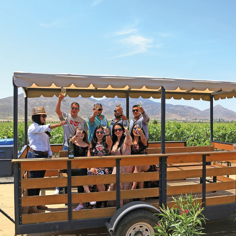 Tour and Tasting in Wagon