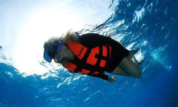 Afternoon Snorkeling in Cancun Afternoon Snorkeling in Cancun