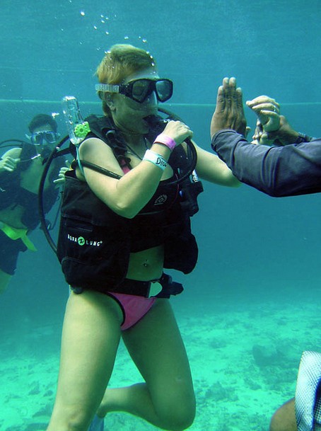 Dive With Dolphins (Dolphin Discovery) Dive With Dolphins (Dolphin Discovery)