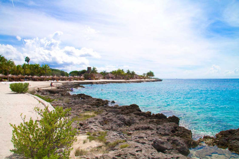 Discover Mexico, Chankanaab Day Pass & Sea Lions Show Discover Mexico, Chankanaab Day Pass & Sea Lions Show
