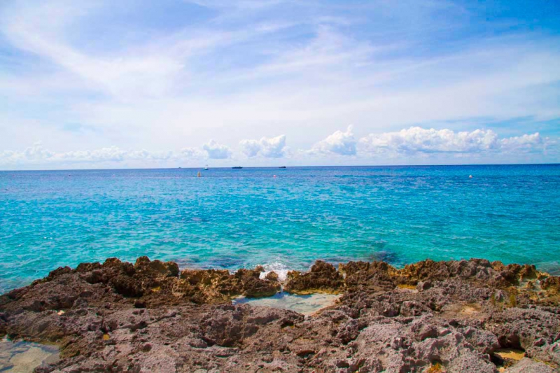 Discover Mexico, Chankanaab Day Pass & Sea Lions Show Discover Mexico, Chankanaab Day Pass & Sea Lions Show