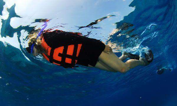 Cozumel Snorkeling Adventure Cozumel Snorkeling Adventure