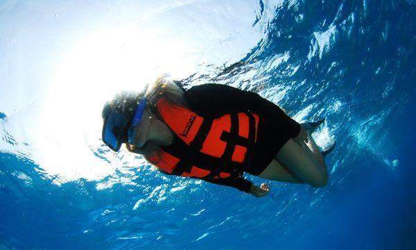 Cozumel Snorkeling Adventure Cozumel Snorkeling Adventure