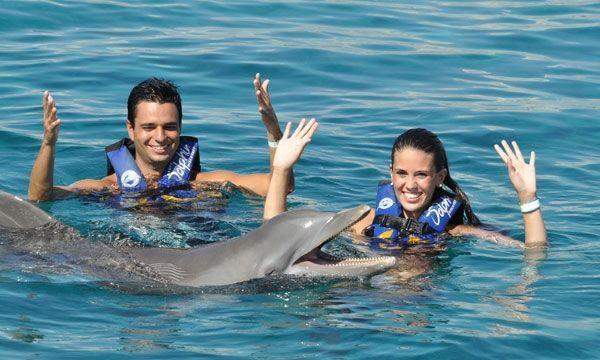 Dolphin Royal Swim Maroma Dolphin Royal Swim Maroma