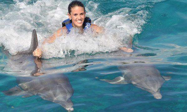 Dolphin Royal Swim Maroma Dolphin Royal Swim Maroma