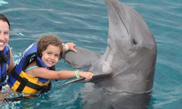 Dolphin Royal Swim Maroma Dolphin Royal Swim Maroma