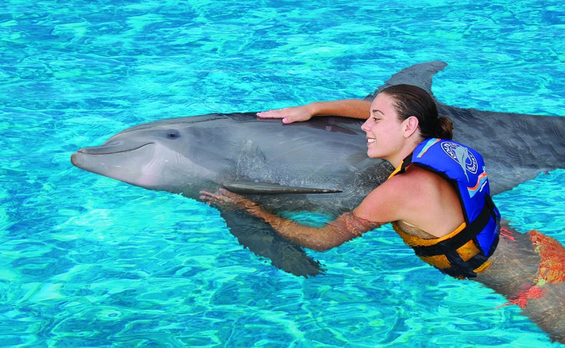 Dolphin Encounter / Dolphin Akumal Dolphin Encounter / Dolphin Akumal