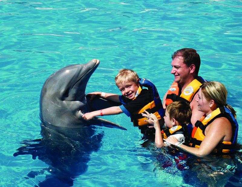 Dolphin Encounter / Dolphin Akumal Dolphin Encounter / Dolphin Akumal