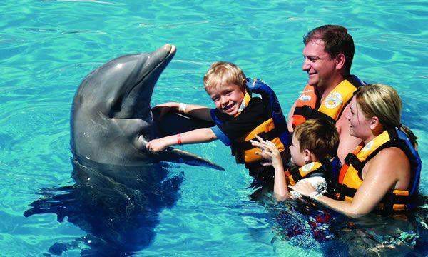 Dolphin Encounter (Dolphin Discovery Puerto Aventuras)
Dolphin Encounter (Dolphin Discovery Puerto Aventuras)