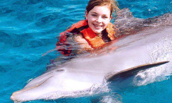 Dolphin Encounter (Dolphin Discovery Puerto Aventuras)
Dolphin Encounter (Dolphin Discovery Puerto Aventuras)