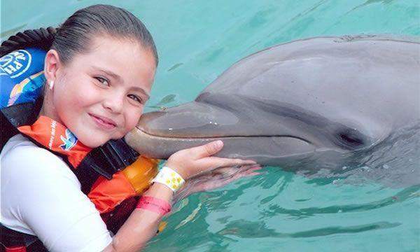 Dolphin Encounter (Dolphin Discovery Puerto Aventuras)
Dolphin Encounter (Dolphin Discovery Puerto Aventuras)