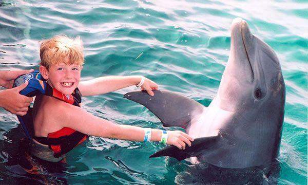 Dolphin Swim Adventure (Dolphin Discovery Puerto Aventuras)
Dolphin Swim Adventure (Dolphin Discovery Puerto Aventuras)