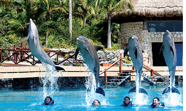 Xplor Dolphinclusive Primax Xplor Dolphinclusive Primax