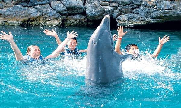 Xplor Dolphinclusive Primax Xplor Dolphinclusive Primax