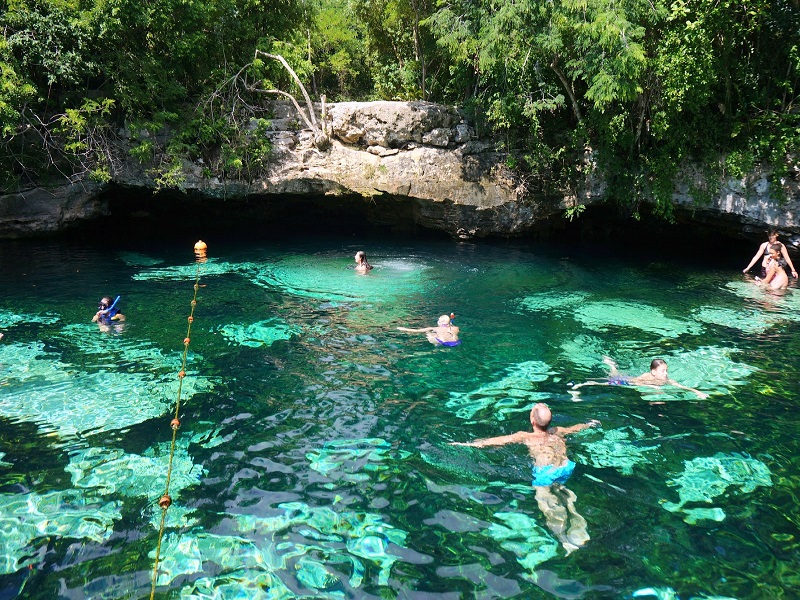 Turtle & Cenote Snorkeling , Tulum | Lomas Travel