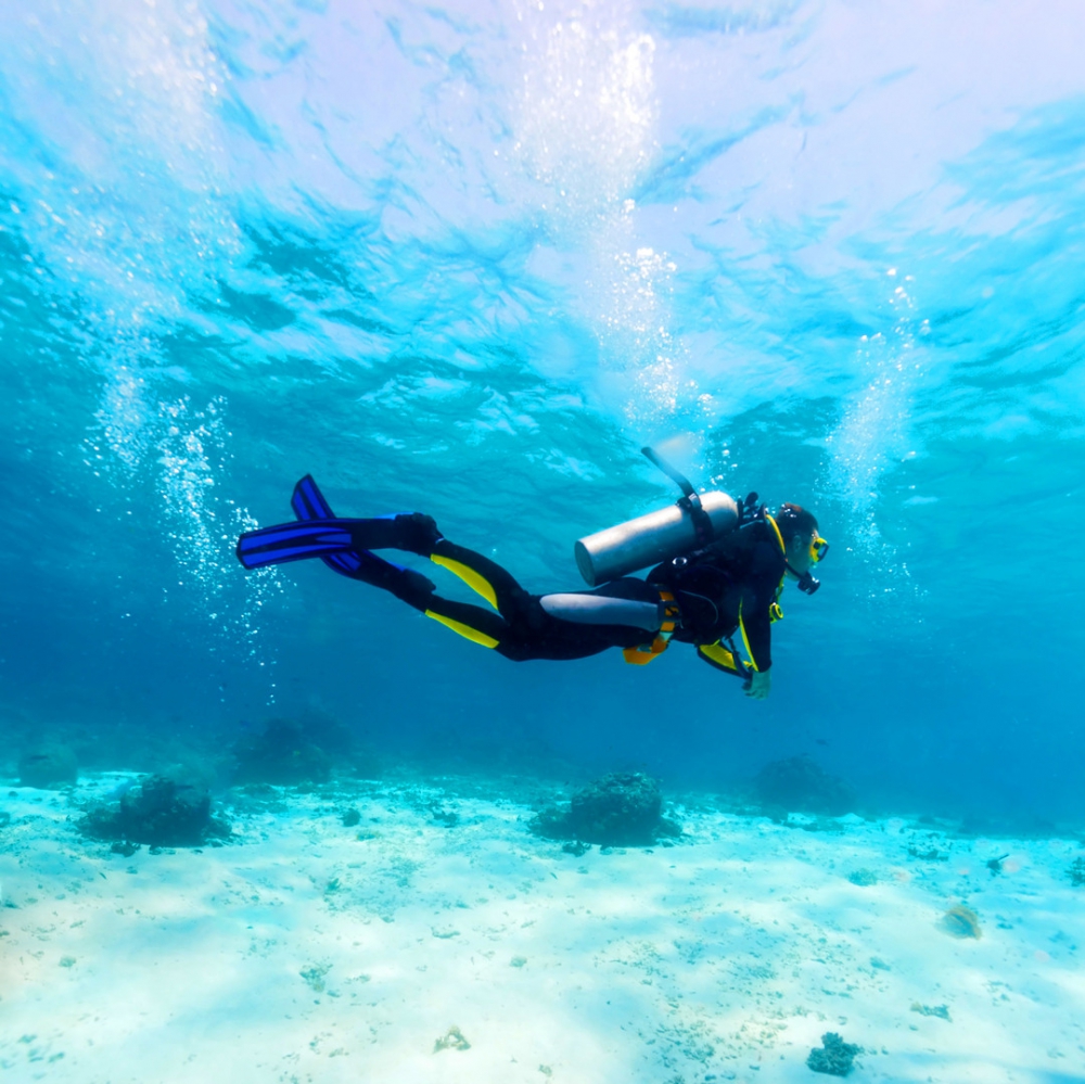 Discover Scuba Diving