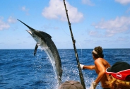 Pesca Tradicional