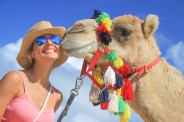 Paseo en Camello - Promoción