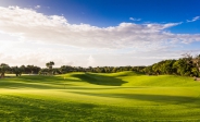 Ronda de Golf en Iberostar Playa Paraíso Golf Club