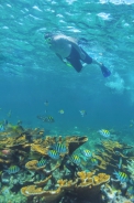 Tour Privado Exclusivo Isla mujeres Luxury Sailing con transportacion 
