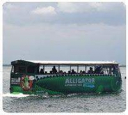 Alligator Tour
