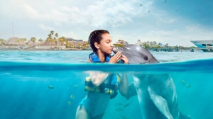 Isla Mujeres Dolphin Encounter