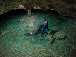 Cenotes Discovery