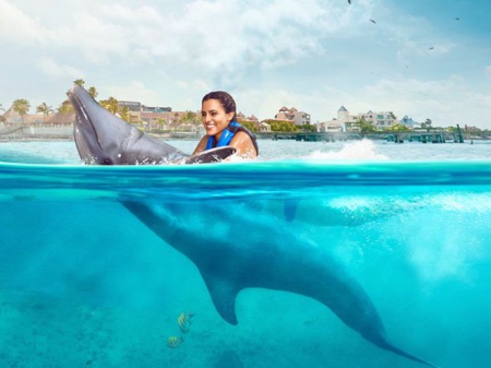 Isla Mujeres Dolphin Swim Adventure