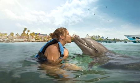 Cozumel Dolphin Meet & Greet