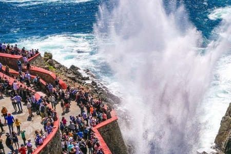 Ensenada Tour