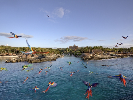 Paquete Xcaret + Xplor Fuego