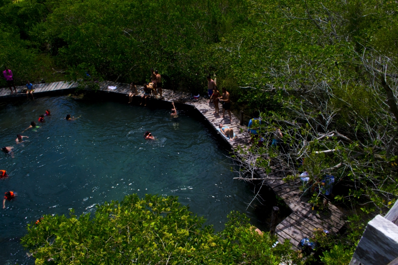 Tour Holbox