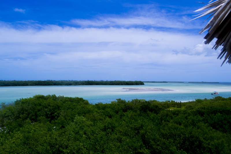 Tour Holbox