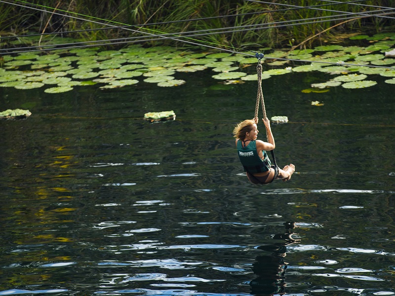 Xenotes 