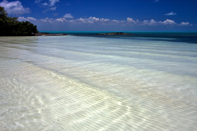 Sian Ka'an Boat Safari