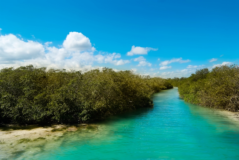 Sian Ka'an Boat Safari