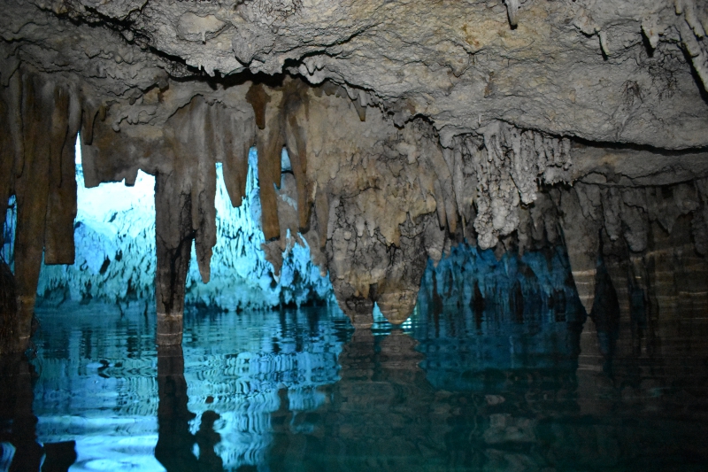 Snorkel Discovery (Tortugas & Cenote)