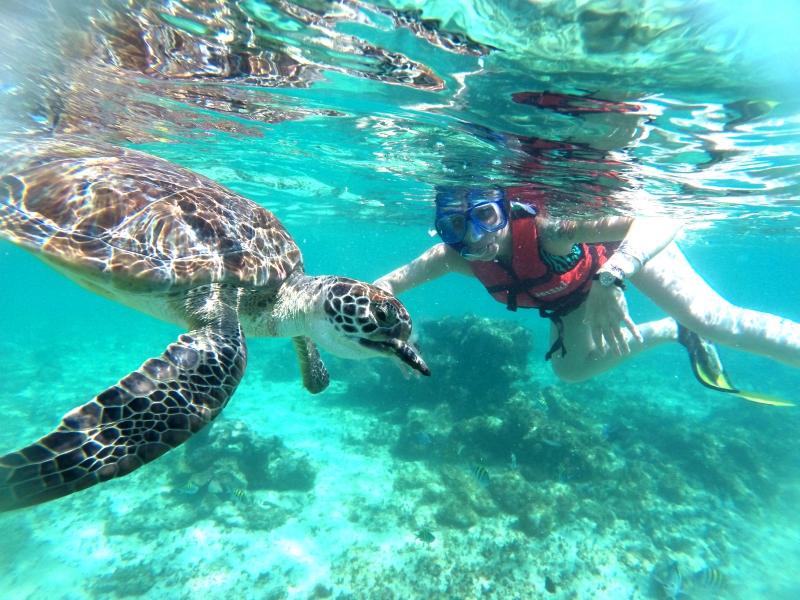 Full Adventure Discovery (Tulum, Cenote, Snorkel)
