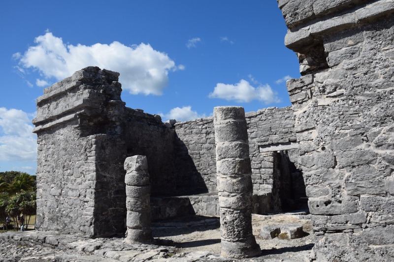 Full Adventure Discovery (Tulum, Cenote, Snorkel)