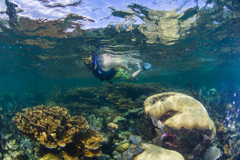 Native Park Puerto Morelos Snorkel