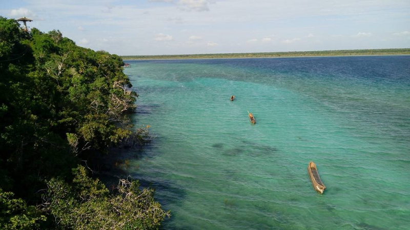 Private Zip lines and cenote in Bacalar