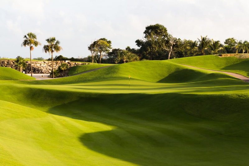 Iberostar Playa Paraiso Golf Club