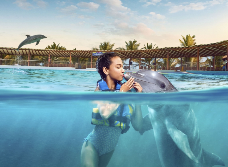 Dolphin Royal Swim VIP (Dolphin Discovery Isla Mujeres)