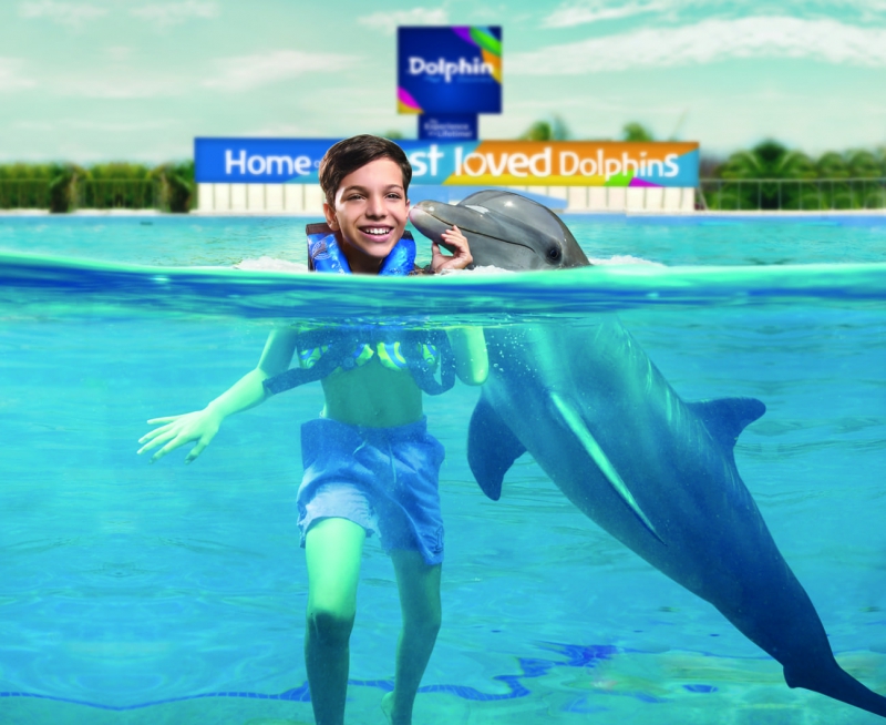 Dolphin Royal Swim VIP (Dolphin Discovery Isla Mujeres)