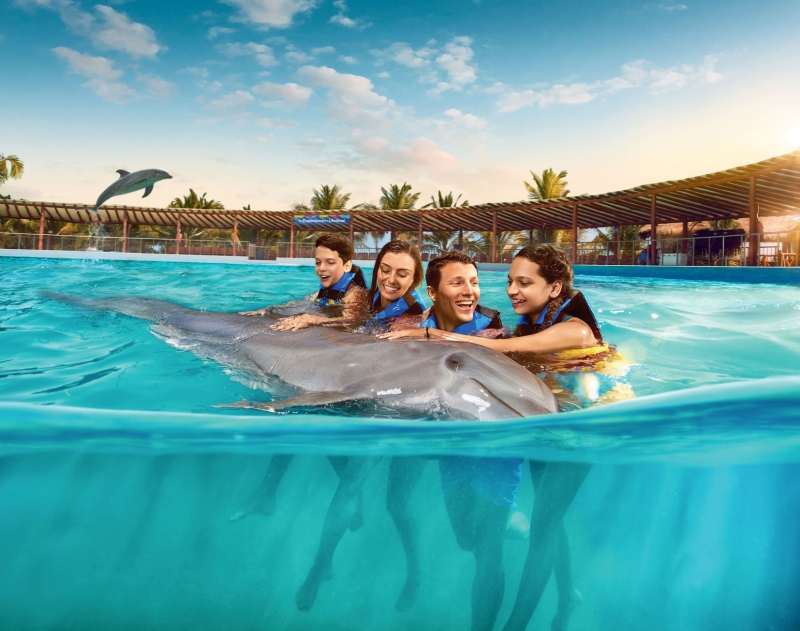 Dolphin Swim Adventure (Dolphin Discovery Isla Mujeres)