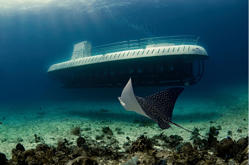 Atlantis Submarine Cozumel Tour | Lomas Travel
